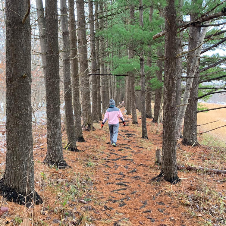 The Pine Lane section of the Buckeye Trail in the Cuyahoga Valley National Park