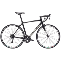 Bianchi Via Nirone Claris