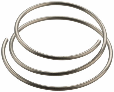 DT Swiss DT Swiss Star Ratchet Spring